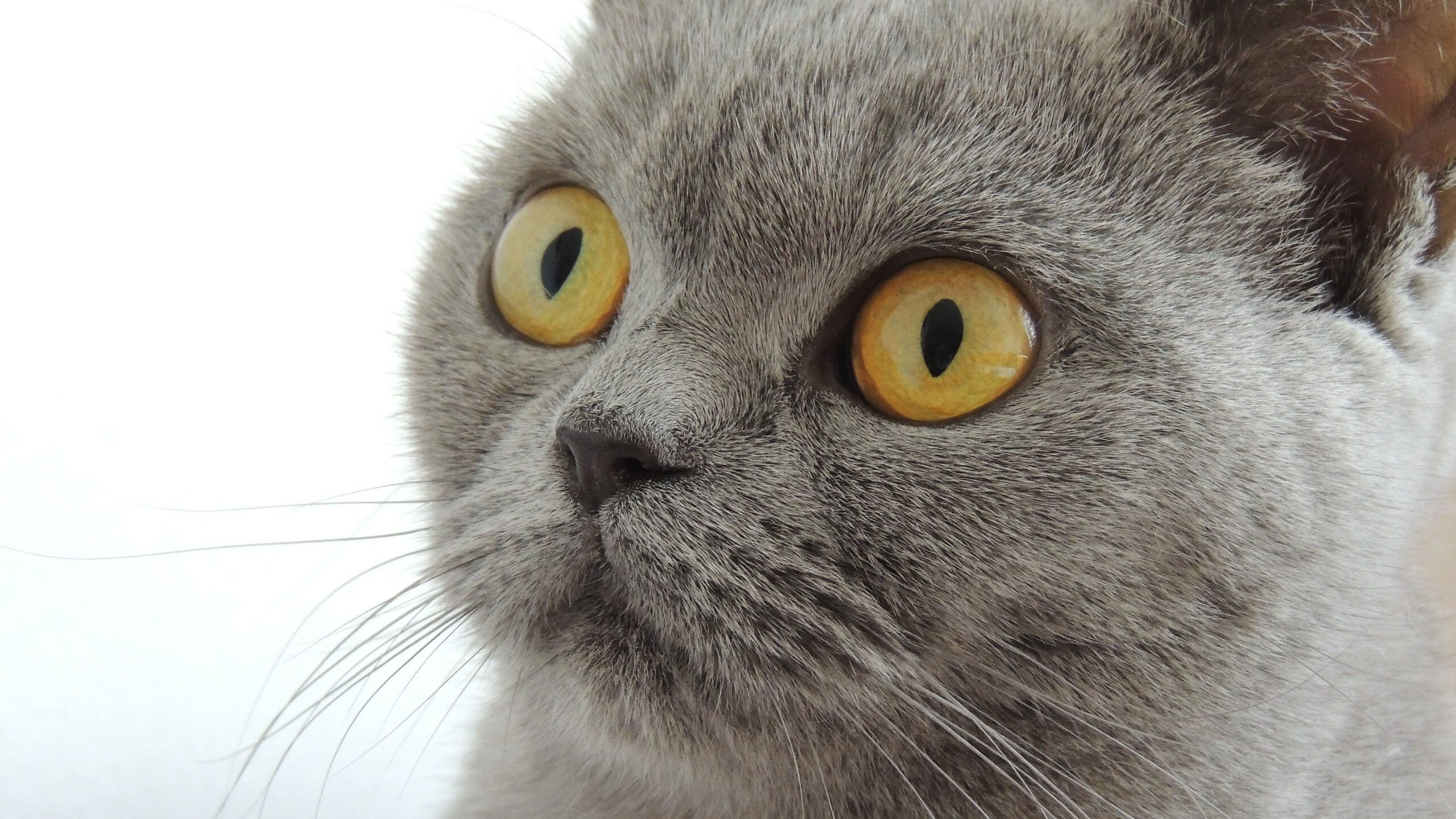 【青训新星】未来领军人物潜力无限,未来青年领袖