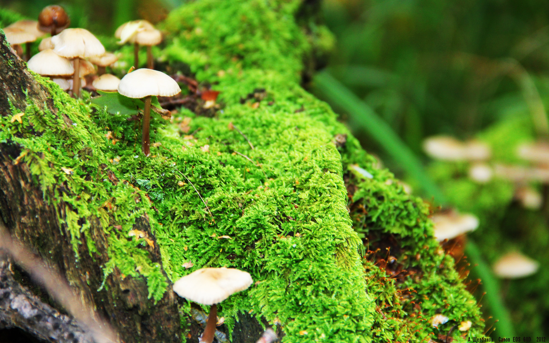 数字化技术推动青少年篮球训练数据透明可追溯，青少年篮球技术训练内容与要素分析