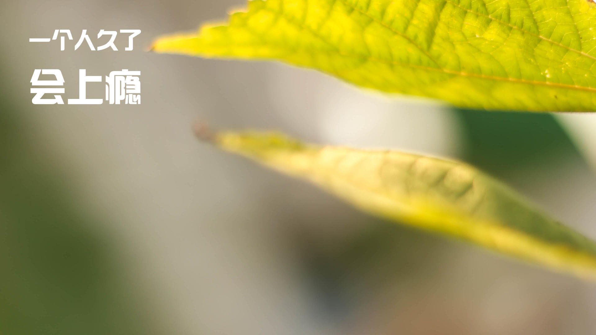 【AI预测对手战术】提前布局制胜,科技让比赛更“聪明”,ai预测未来