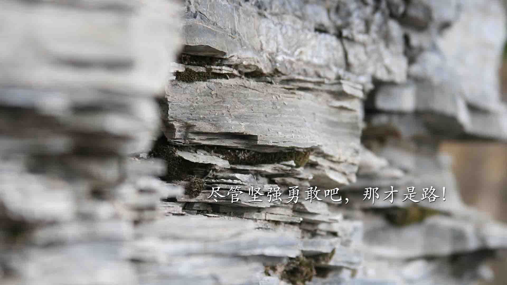 探秘赛道：隐藏的险点与潜在的危机区域，赛道示意图